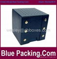 Popular watch box 2