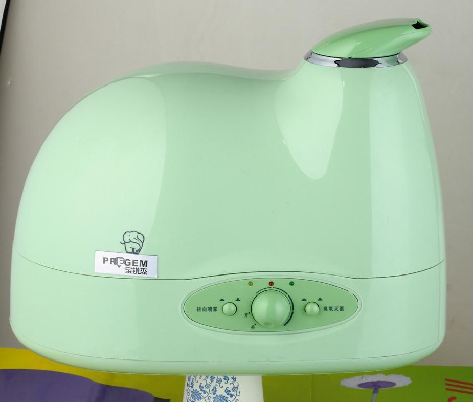 House Humidifier