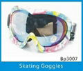 Snowboarding glasses  1