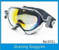 Skating Goggles