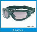 Polarized Motorcycle Goggles  1