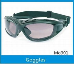 Polarized Motorcycle Goggles