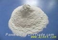 Hydroxyethyl methyl cellulose 