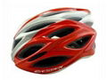 bike helmet 1