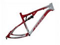 mountain carbon frame 3