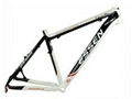 sport bicycle frame