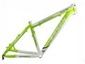 sport bicycle frame 2