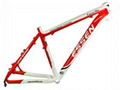 sport bicycle frame 3