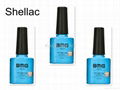 BMG UV Gel Nail Polish