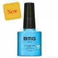 BMG UV Gel Nail Polish 2