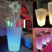 LED Mood Light Decorative Series 2