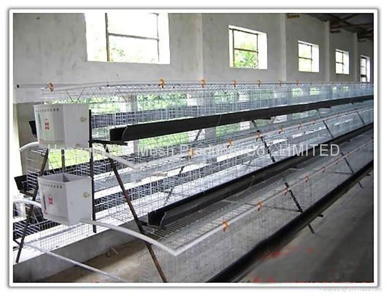 layer poultry cages with automatic water system 2