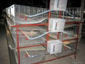 layer poultry cages with automatic water system 3