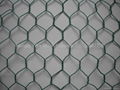 202 s.s hexagonal wire mesh 1