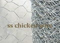 202 s.s hexagonal wire mesh 3