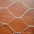 202 s.s hexagonal wire mesh 5