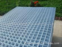 galvanized welded wire mesh 2