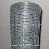 galvanized welded wire mesh 4