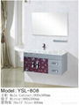 Stainless Steel Bathroom Cabinet 1