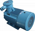YB2 series ac induction explosion proof motor electric motor 1