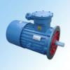 YBS(DSB) Series Explosion-safe Three-phase Asynchronous Motor for Conveyor 