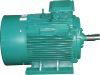 Y 3phase AC induction pump motors