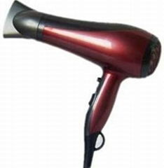 Professional Hair Dryer with ionic and diffuser