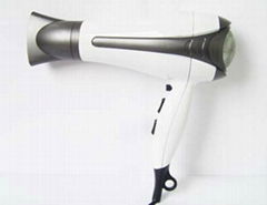 Ionic Professional Hair Dryer