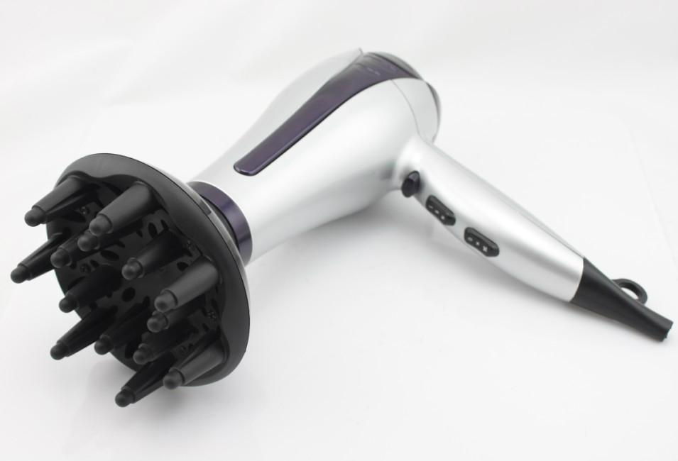 Ionic Professional Hair Dryer 2