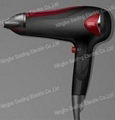 new Professional Ionic Hair Dryer 2