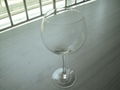 wine glass 1