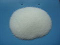 monosodium  phosphate anhydrous 1