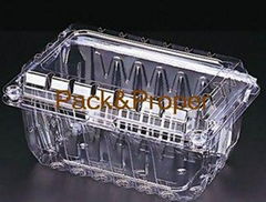  Fruit&Vegetables Packing container