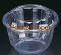 Combination Salad Packaging Container
