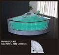 Latest Jacuzzi Tub