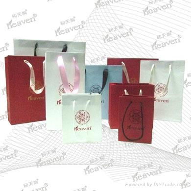 Paper gift bag 1