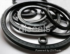 TC oil seal