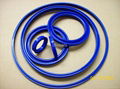 rod seals