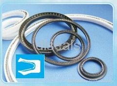 spring energized seals
