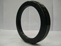 TCN oil seals