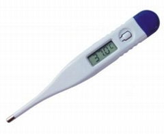 Clinical Digital Thermometer