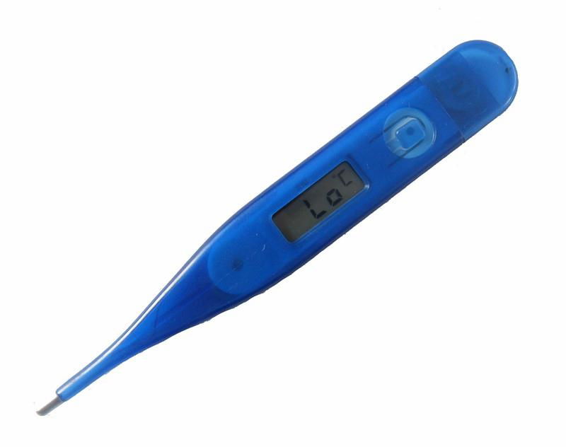  Clinical Digital Thermometer 2