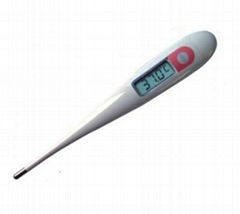 Clinical Digital Thermometer