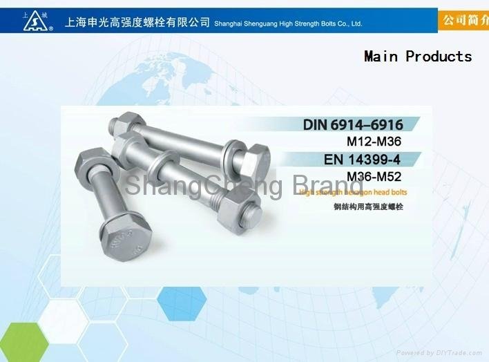 High Strength Bolts With Large Hexagon Head for Steel Structures (DIN6914~6916) 2