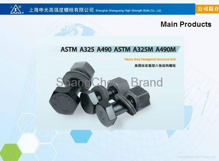 Heavy Duty Hexagonal Structure Bolt(ASTM A325/A490) 2