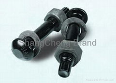 Torsion Shear Bolts (ASTM F1852/F2280)