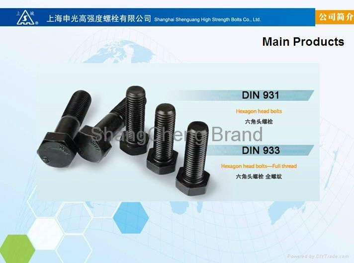 Hexagon Head Bolts (DIN 931  GB/T 5782) 2