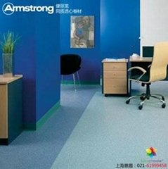 阿姆斯壮健丽龙系列PVC地板