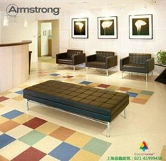 阿姆斯壮龙彩系列PVC地板