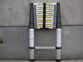 3.8m telescopic ladder